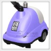 1500W Vertical Garment Steamer with the beatle style