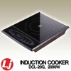 2000W  INDUCTION PLATE
