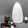 2011-2012 new electric aroma diffuser GX-80G