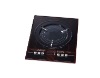 2011 - Electric Induction Cooker