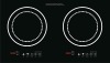 2011 Electric Induction Cooker - titanium high quality plate