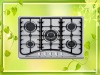2011 New Built-in Gas Stove