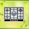 2011 New Style Gas Cooker NY-QM5030