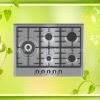 2011 Newly designed SS Built-in Gas Hob