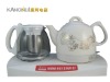 2011 new fashion electric tea kettles