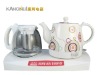 2011 new fashion stainless steel kettles