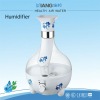 2011 the white facial Humidifier