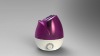 2011New Ultrasonic Humidifier (Lotus Flower Design XBW-210)