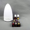 2011new  reed diffuser GX-80G Japanese products sell like hot cakes