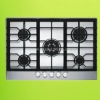 2012 New Trends Gas Burners (5 fire)