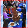 2012 Very Popular Chocolate Fountain