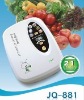 2012 anion & ozone generator new vegetable washer water treatment for fruit