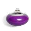 2012 new scent aromatherapy oil diffuser Fruit series Hot GX-01K