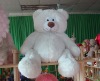 25cm White Stuffed Plsuh Bear Toy