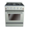 30" Built-in Gas Oven with Electric Ceramic Furnaces