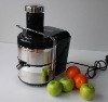 350W Stainless Steel Juicer as seen on tv