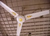 48'' 3-blade white ceiling fan with gold decoration