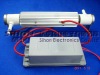 5g/h ceramic tube ozone generator cell for water purifier