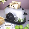 700W 2 slice SS logo toaster with CE/GS/EMC/ROHS