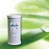 Activated carbon purifier water filter