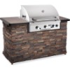 American Outdoor Grill 30 Inch Built-In Natural Gas Grill