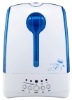 Anion Humidifier with Timer Model No. MH-601