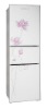 BCD-230JX (B22) Three Doors Refrigerator