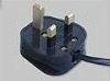 BS plug/wire plug