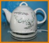 Boil quickly teapot (KC-0801)