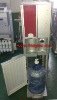 Bottle water dispenser with ice maker