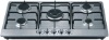 Built-in type Stainless Steel Gas Stove