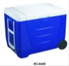 Car Cooler Box/Plastic Box