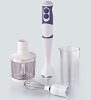 Commercial hand blender with DC motor
