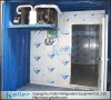 Containerized Cold Storage Room