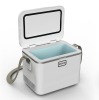 Cosmetic Cooler Box/Mobile Refrigerator