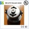 DS-G-P3 vacuum cleaner motor