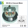 DS-GS-JJ vacuum cleaner ac motor