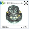 DS-GS-R152 Vacuum Cleaner Motor