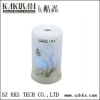 Dandelion blue light protable  appearance aroma diffuser mist
