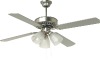 Decoative ceiling fan