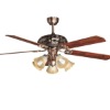 Decorative ceiling fan specifications 60-YJ081