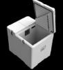 Dry Ice Plastic Cooler Box/Picnic box