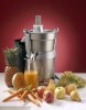 Electric Centrifugal Professional Juicer