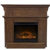 Electric Fireplace with wood veneer finish and indoor