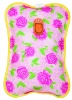 Electric hot water bottle