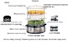 Electronic Stainless Steel Steam Cooker