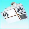 Fan Heater, Bathroom Heater (HDP820B)