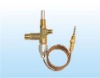 Flameout safeguarding valve