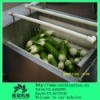 Full-automatic vegetables washing machine