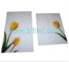 Furniture Glass,Tepmpered Glass,Safety Glass,Toughened Glass
